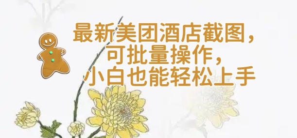 【轻云】最新美团酒店截图，可批量操作，小白也能轻松上手-天韵资源网
