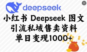 小红书Deepseek图文引流私域售卖资料，单日变现多张-天韵资源网