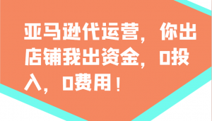 亚马逊代运营，你出店铺我出资金，0投入，0费用，无责任每天300分红，赢亏我承担-天韵资源网