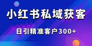 2025最新小红书平台引流获客截流自热玩法讲解，日引精准客户300+-天韵资源网