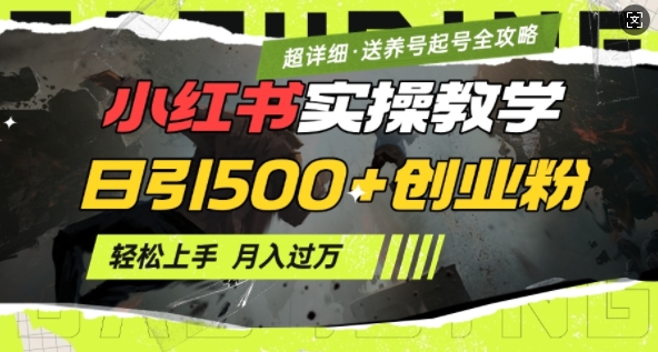 2月小红书最新日引500+创业粉实操教学【超详细】小白轻松上手，月入1W+，附小红书养号起号SOP-天韵资源网