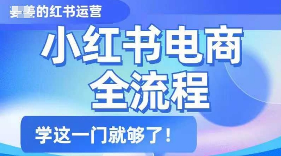 小红书电商全流程，精简易懂，从入门到精通，学这一门就够了-天韵资源网