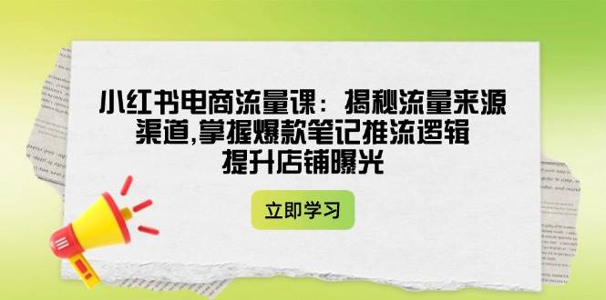 小红书电商流量课：揭秘流量来源渠道,掌握爆款笔记推流逻辑,提升店铺曝光-天韵资源网