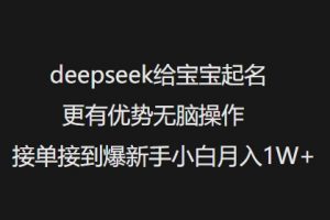 deepseek给宝宝起名更有优势无脑操作接单接到爆新手小白月入1W+-天韵资源网