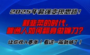 2025年最强变现思路，割韭菜的时代， 普通人如何翻身做镰刀？【揭秘】-天韵资源网