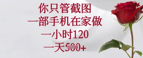 你只管截图，一部手机在家做，一小时120.一天5张【揭秘】-天韵资源网