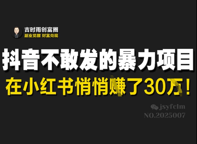抖音不敢发的暴利项目，在小红书悄悄挣了30W-天韵资源网