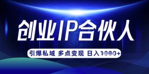 云帆·创业ip合伙人打造3.0,从0到1教你做网创,实现月入过W-天韵资源网