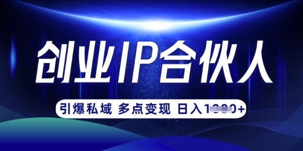 云帆·创业ip合伙人打造3.0，从0到1教你做网创，实现月入过W-天韵资源网