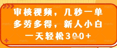 审核视频，几秒一单，多劳多得，新人小白一天轻松3张【揭秘】-天韵资源网