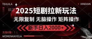 2025短剧拉新玩法，无需注册登录，无限0撸，无脑批量操作日入2000+-天韵资源网