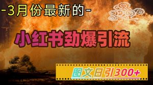 小红书超劲爆引流手段,图文日引300+轻松变现1W-天韵资源网