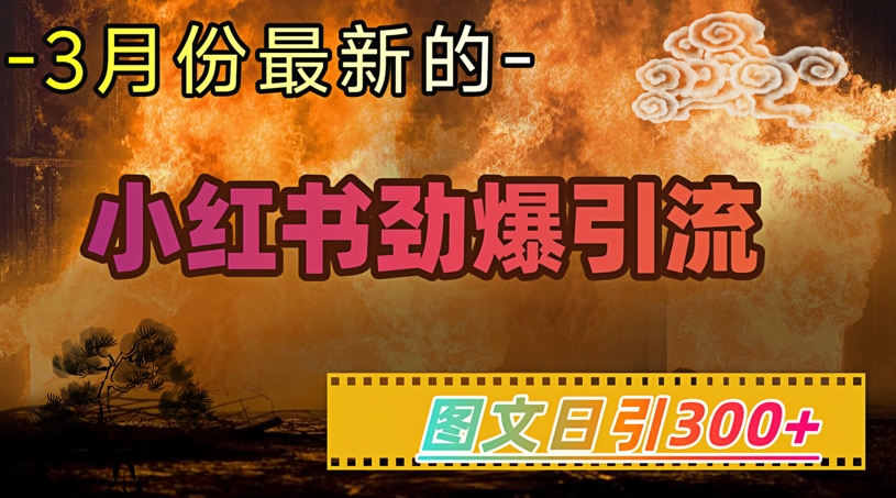小红书超劲爆引流手段，图文日引300+轻松变现1W-天韵资源网