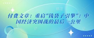 付费文章:重启-天韵资源网