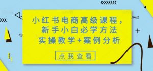 小红书电商高级课程,新手小白必学方法,实操教学+案例分析-天韵资源网