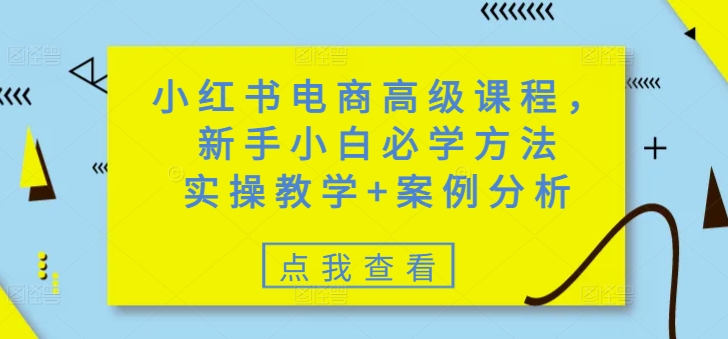 小红书电商高级课程，新手小白必学方法，实操教学+案例分析-天韵资源网