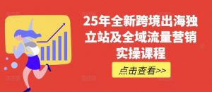 25年全新跨境出海独立站及全域流量营销实操课程,跨境电商独立站TIKTOK全域营销普货特货玩法大全-天韵资源网
