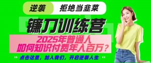 镰刀训练营超级IP合伙人,25年普通人如何通过“知识付费”实现逆袭-天韵资源网