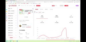 2025小红书虚拟电商实战课-天韵资源网