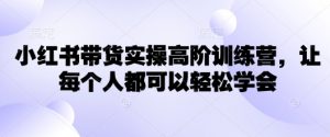 小红书带货实操高阶训练营,让每个人都可以轻松学会-天韵资源网