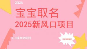 2025新风口项目宝宝取名，0成本高利润，附保姆级教程，月入过万不是梦-天韵资源网