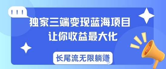 独家三端变现蓝海项目，让你收益最大化，长尾流无限躺挣-天韵资源网