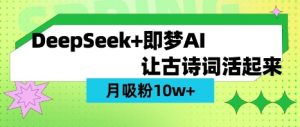 用DeepSeek做AI 古诗词视频，涨粉 10W+(保姆级教程)-天韵资源网