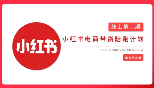 2025小红书虚拟电商实战课，从0到1打造无货源店铺，AI+爆款笔记轻松变现-天韵资源网