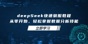 deepSeek快速驯服教程,从零开始,轻松掌握数据分析技能-天韵资源网