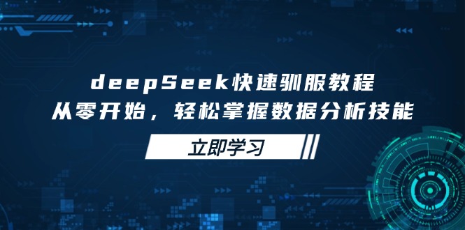 deepSeek快速驯服教程，从零开始，轻松掌握数据分析技能-天韵资源网