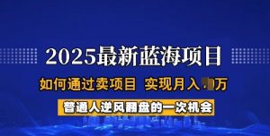 2025蓝海项目，普通人如何通过卖项目，实现月入过W，全过程【揭秘】-天韵资源网