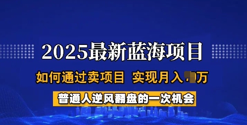 2025蓝海项目，普通人如何通过卖项目，实现月入过W，全过程【揭秘】-天韵资源网