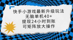 快手小游戏最新版升级玩法,新风口,无脑单机日入40+,可批量放大,小...-天韵资源网