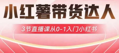 小红薯达人带货启航计划，3节直播课从0-1入门小红书-天韵资源网