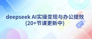 deepseek AI实操变现与办公提效(20+节课更新中)-天韵资源网