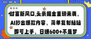 财富新风口,头条掘金重磅来袭AI秒出爆款内容简单复制粘贴即可上手,日...-天韵资源网