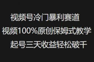视频号冷门暴利赛道视频100%原创保姆式教学起号三天收益轻松破千-天韵资源网