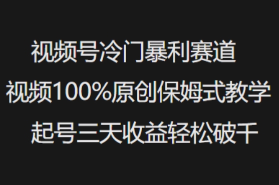 视频号冷门暴利赛道视频100%原创保姆式教学起号三天收益轻松破千-天韵资源网