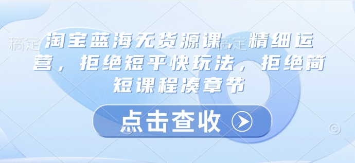 淘宝蓝海无货源课，精细运营，拒绝短平快玩法，拒绝简短课程凑章节-天韵资源网