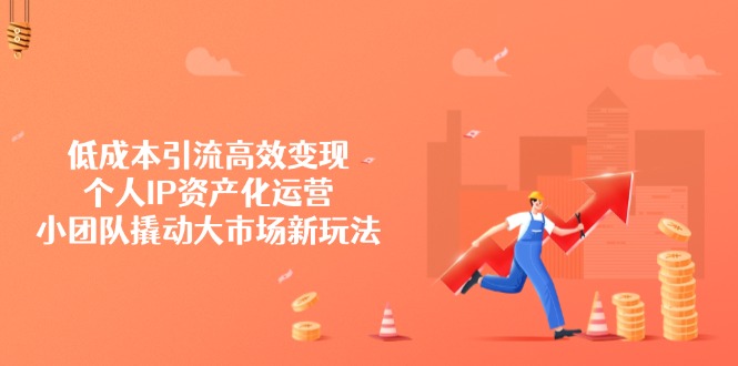 低成本引流高效变现，个人IP资产化运营，小团队撬动大市场新玩法-天韵资源网