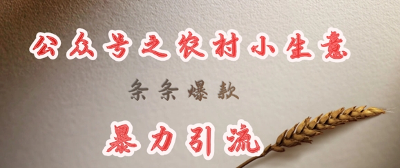 deepseek写农村小项目，条条爆款，暴力引流-天韵资源网
