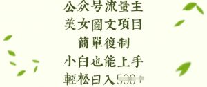 流量主长期收益项目,美女图片简单复制,小白也能上手,轻松日入5张-天韵资源网