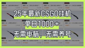 25年最新CSGO挂机系统，单日1000+，无需电脑，无需养号，0基础可上手-天韵资源网