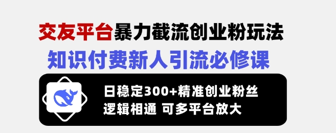 交友平台暴力截流创业粉玩法，知识付费新人引流必修课，日稳定300+精准创业粉丝，逻辑相通可多平台放大-天韵资源网