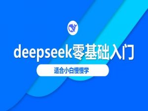 deepseek零基础入门-deepseek教程2025,适合小白慢慢学-天韵资源网
