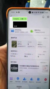 抖音暴力涨粉技术：一天轻松1-10万粉，技术不确定真实性，自测-天韵资源网