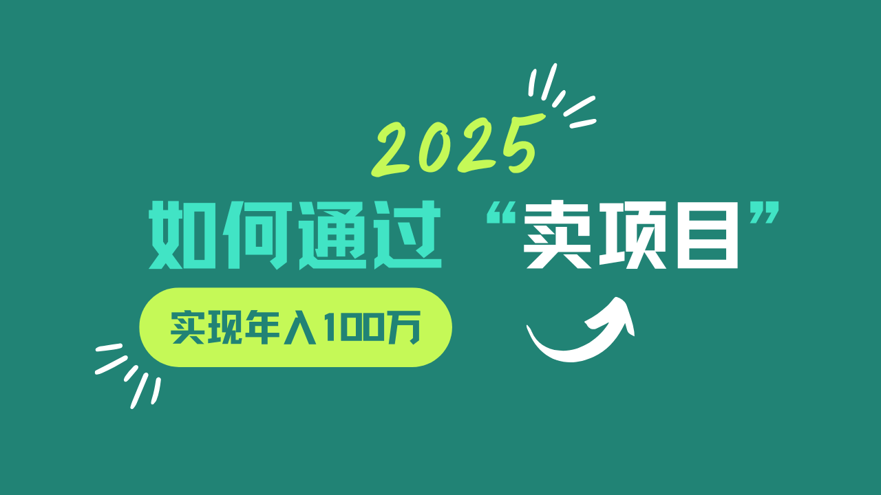 2025年如何通过“卖项目”实现年入100w-天韵资源网