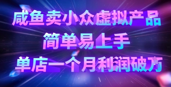 咸鱼卖小众虚拟产品，简单易上手，单店一个月利润破W-天韵资源网