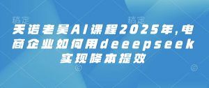 天诺老吴AI课程2025年，电商企业如何用deeepseek实现降本提效-天韵资源网