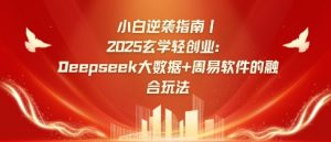 小白逆袭指南,2025玄学轻创业:Deepseek大数据+周易算法的融合玩法-天韵资源网
